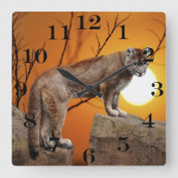 Löwe bei Sonnenuntergang