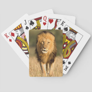 Löwe beim Gehen Spielkarten