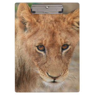 Löwe CUB Klemmbrett