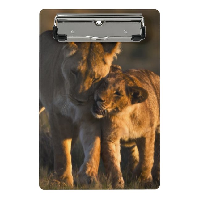 Löwe CUB u. Mutter Mini Klemmbrett (Vorderseite)