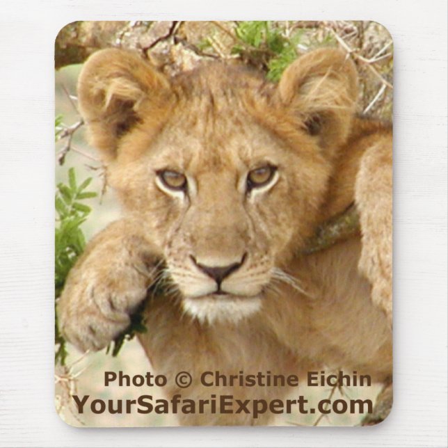 Löwe-CUB-Vertikale Mousepad (Vorne)
