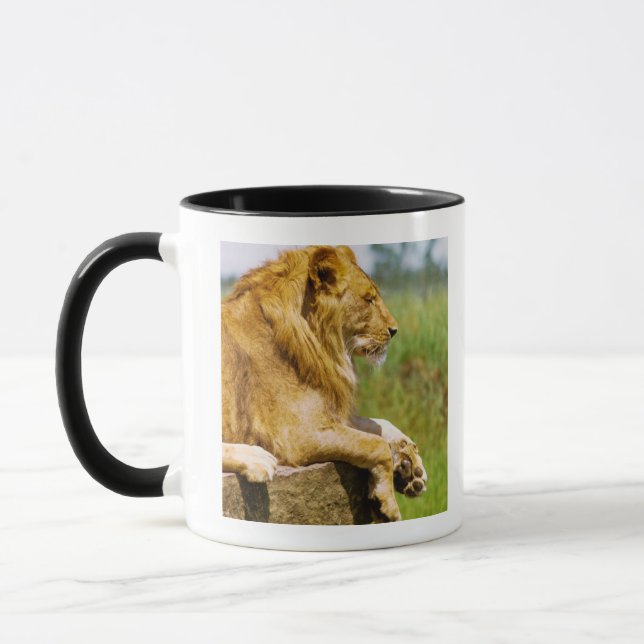Löwe, der auf einem Felsen liegt Tasse (Links)