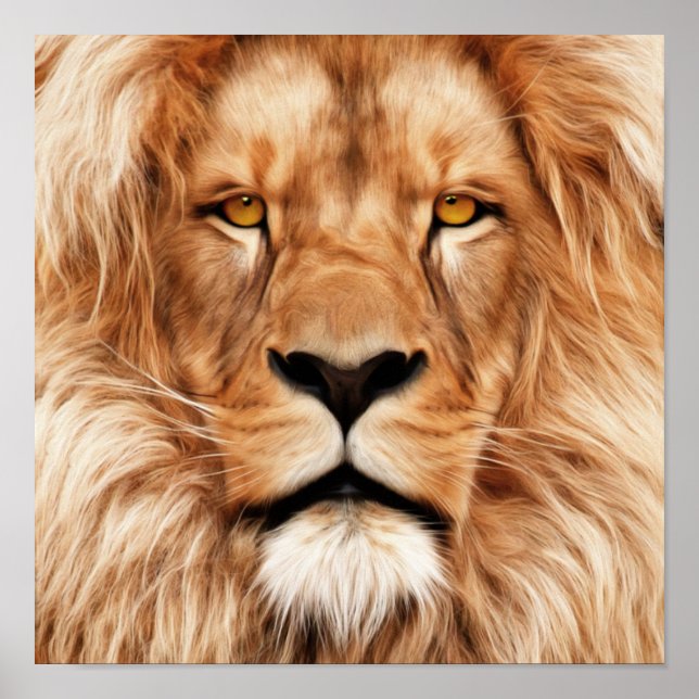 Löwe Der König Foto Malerei Poster (Vorne)
