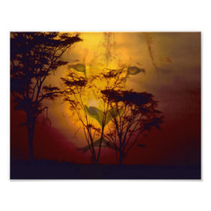 Löwe, der über afrikanischem Sonnenuntergang Fotodruck