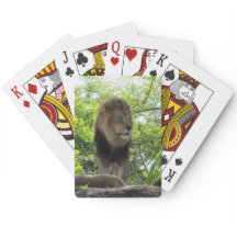 Löwe - Fahrradkarten