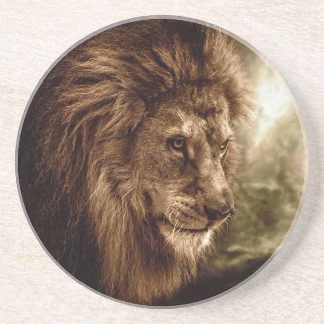 Löwe gegen stürmischen Himmel Getränkeuntersetzer (Vorne)