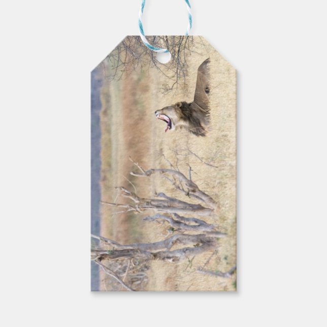 Löwe Geschenkanhänger (Vorderseite)