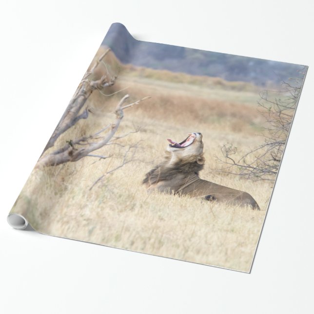 Löwe Geschenkpapier (Ungerollt)