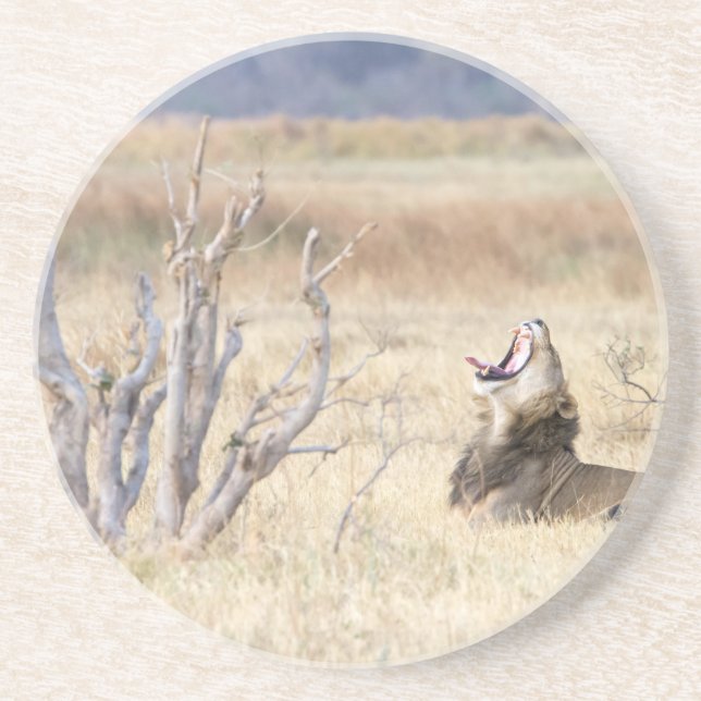 Löwe Getränkeuntersetzer (Vorne)