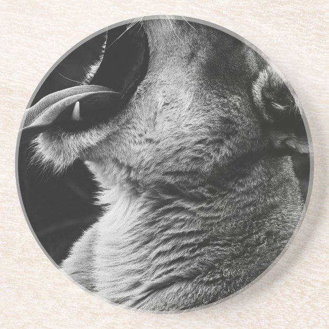 Löwe Getränkeuntersetzer (Vorne)