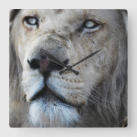 Löwe hört zu meinem Herzschlag Afrika