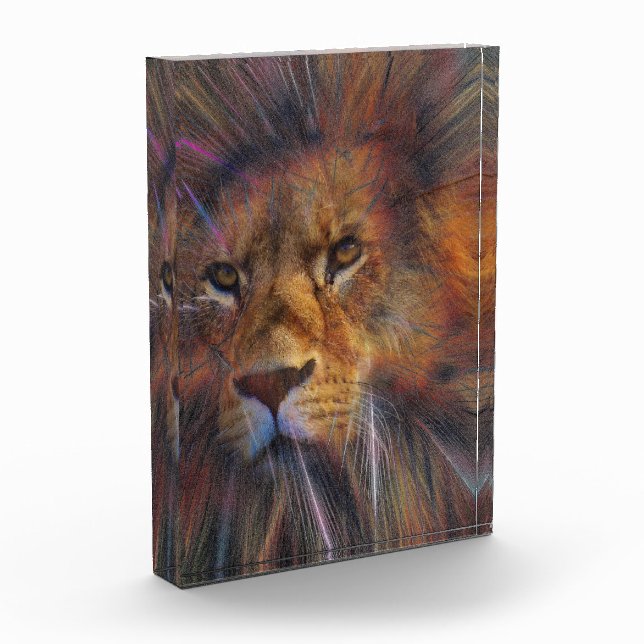 Löwe im Foto der Galerie (Links)