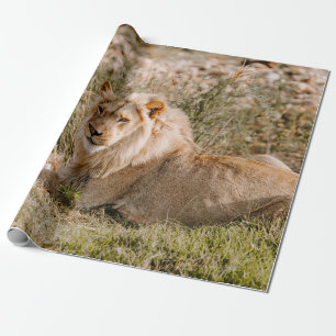 LÖWE IM GRAS GESCHENKPAPIER