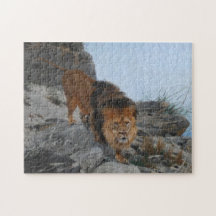 Löwe in den Bergen (von Richard Friese)