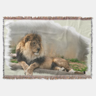Löwe in der Erholung Decke