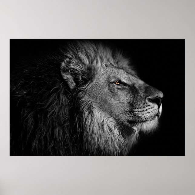 Löwe in Schwarz und Weiß Poster (Vorne)