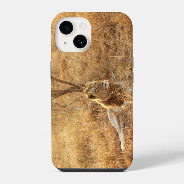 Löwe iPhone 14 Hülle (Rückseite)