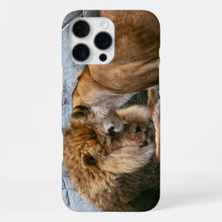 Löwe iPhone 16 Pro Max Hülle