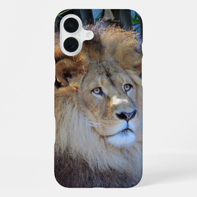 Löwe iPhone Hülle (Rückseite)