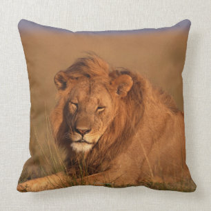 Löwe Kissen