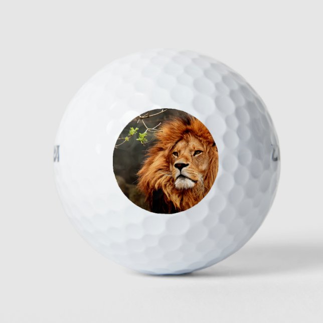 Löwe, König des Dschungels Golfball (Vorderseite)