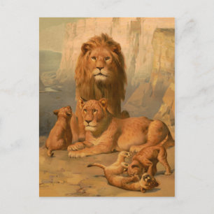 Löwe, Löwin und Junge Postkarte