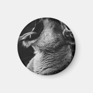 Löwe Magnet