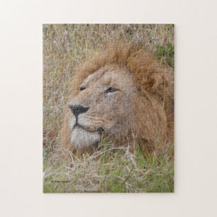 LÖWE MÄNNLICH NAHAUFNAHME Puzzle