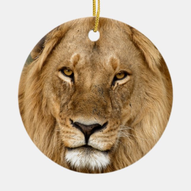 Löwe mit großer Mane Keramik Ornament (Vorne)