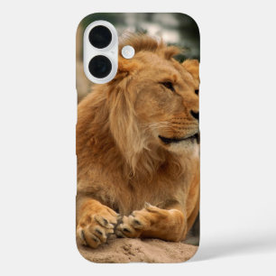 Löwe mit Punkfrisuren iPhone 16 Hülle