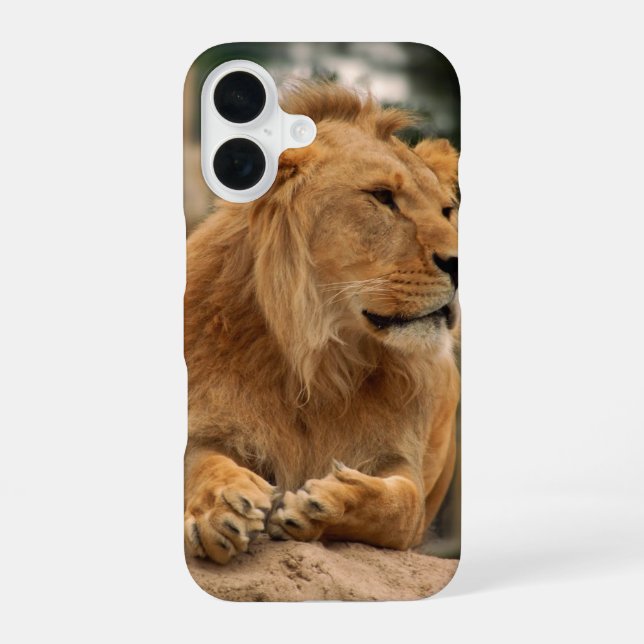 Löwe mit Punkfrisuren iPhone 16 Hülle (Rückseite)