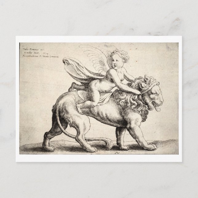 Löwe Postkarte (Vorderseite)