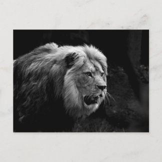 löwe postkarte