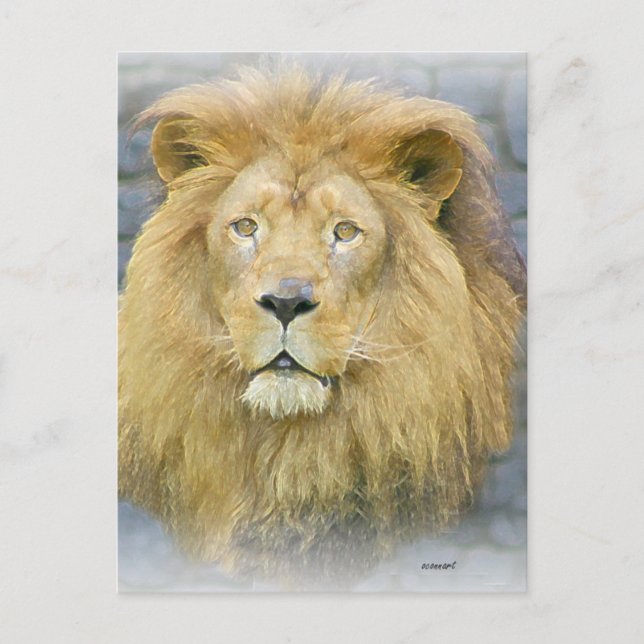 Löwe Postkarte (Vorderseite)