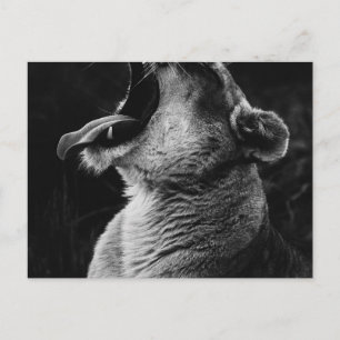 Löwe Postkarte