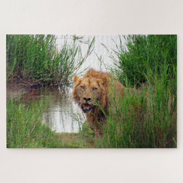 Löwe Puzzle (Horizontal)