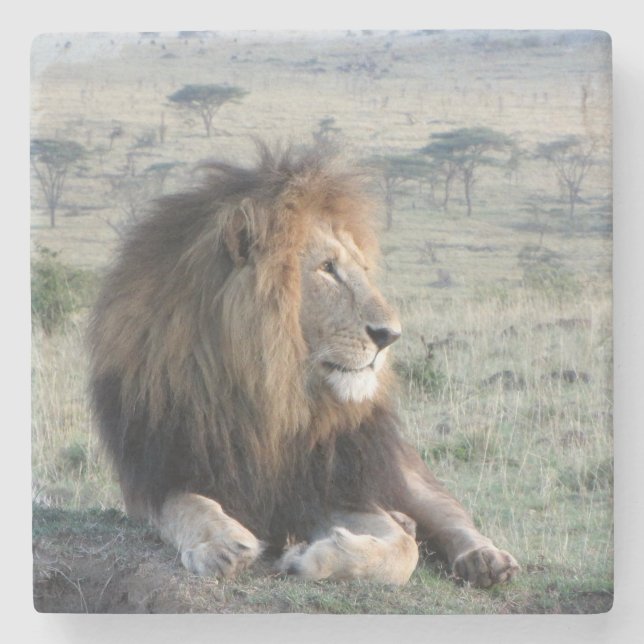 Löwe-SteinUntersetzer Steinuntersetzer (Vorderseite)