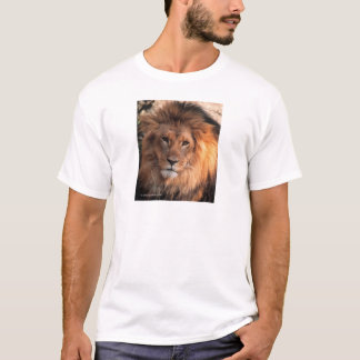 Löwe T-Shirt