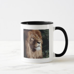 Löwe Tasse