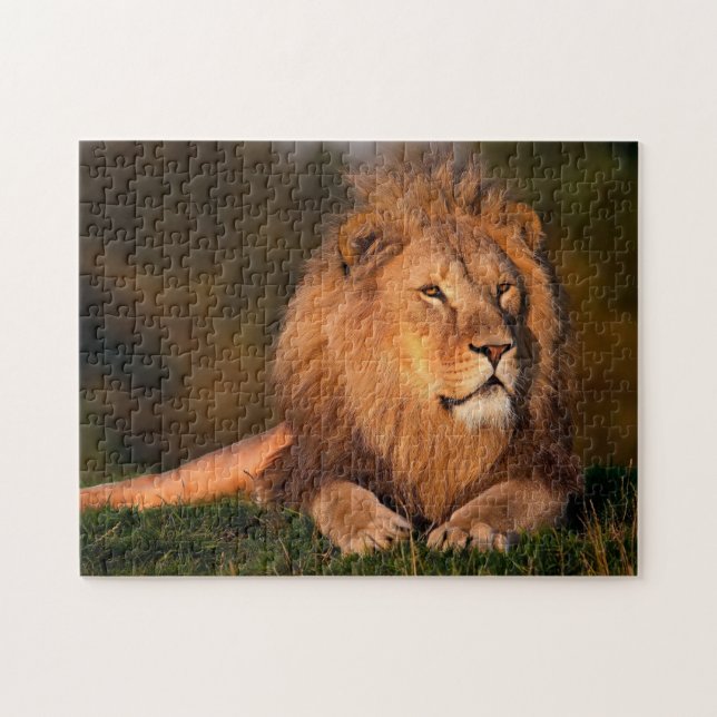 Löwe-Tier-Puzzle Puzzle (Horizontal)