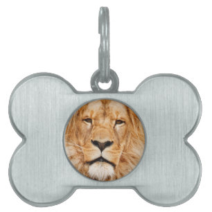 Löwe Tiermarke