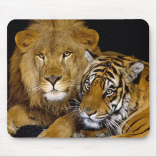 Löwe und ein Tiger Mousepad