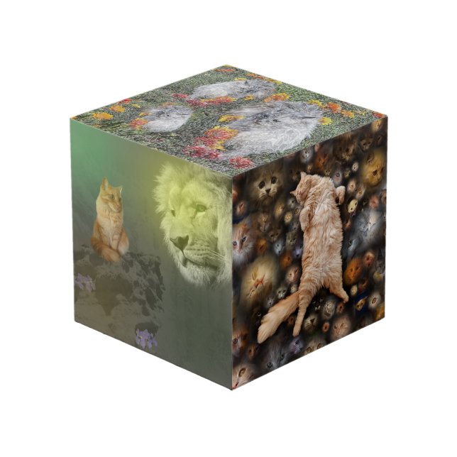 Löwe und Katze, Freunde, Foto Cube Würfel (Vorderseite Schrägansicht)