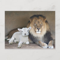Löwe und Lamb