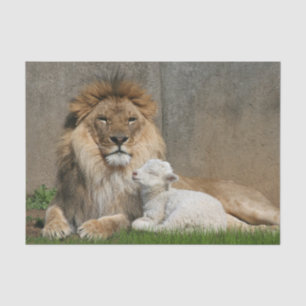 Löwe-und Lamm Weihnachten Seidenpapier