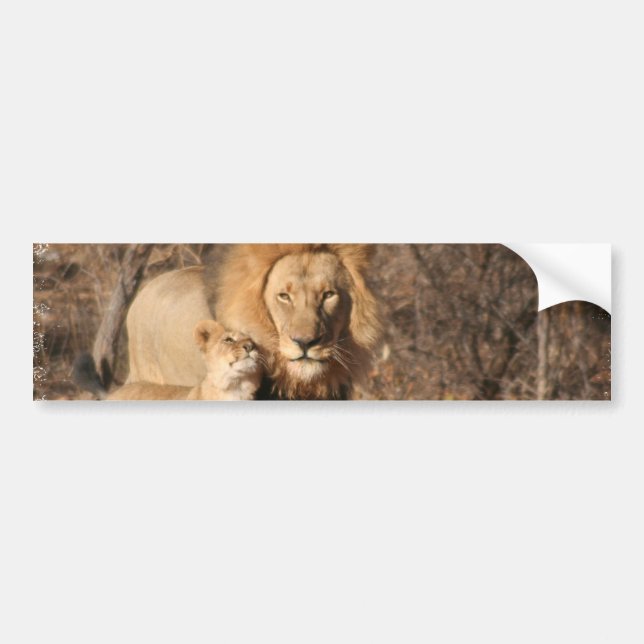 Löwe-und Löwe-CUB-Autoaufkleber Autoaufkleber (Vorne)