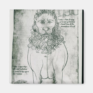 Löwe und Stachelschwein Frau-Fr 19093 fol.24v Magnet