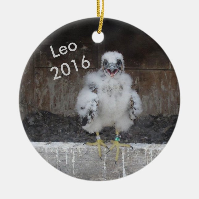 Löwe-Verzierung 2016 Keramikornament (Vorne)