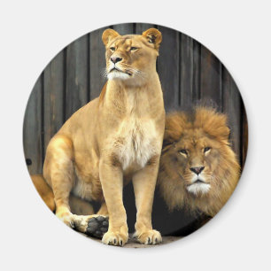 Löwe - warum sitzen Sie auf mir? Magnet