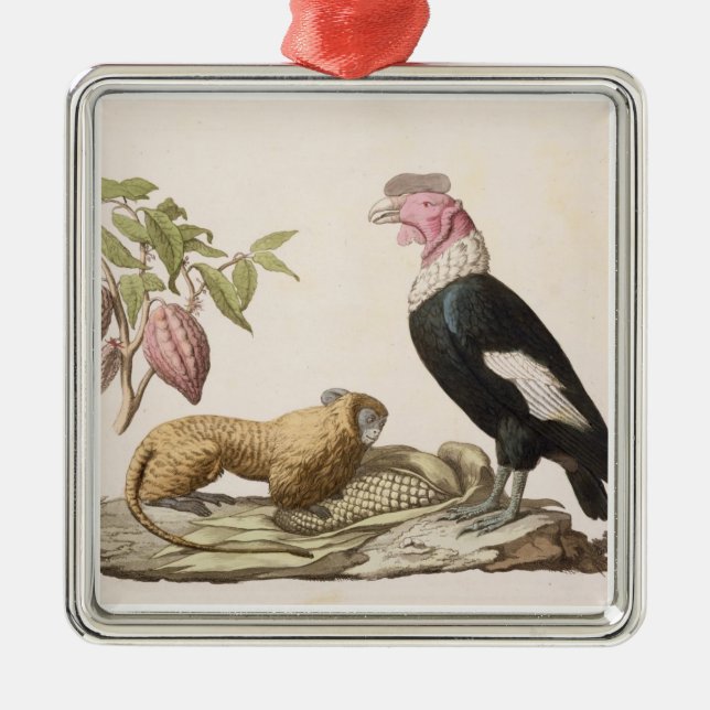 Löweaffe und -kondor, gebürtig nach Chilen oder Ornament Aus Metall (Vorne)